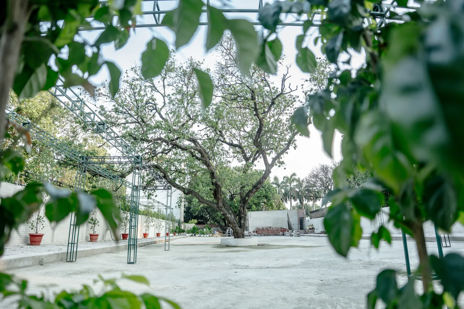 Aam Bagh Sanctuary Courtyard